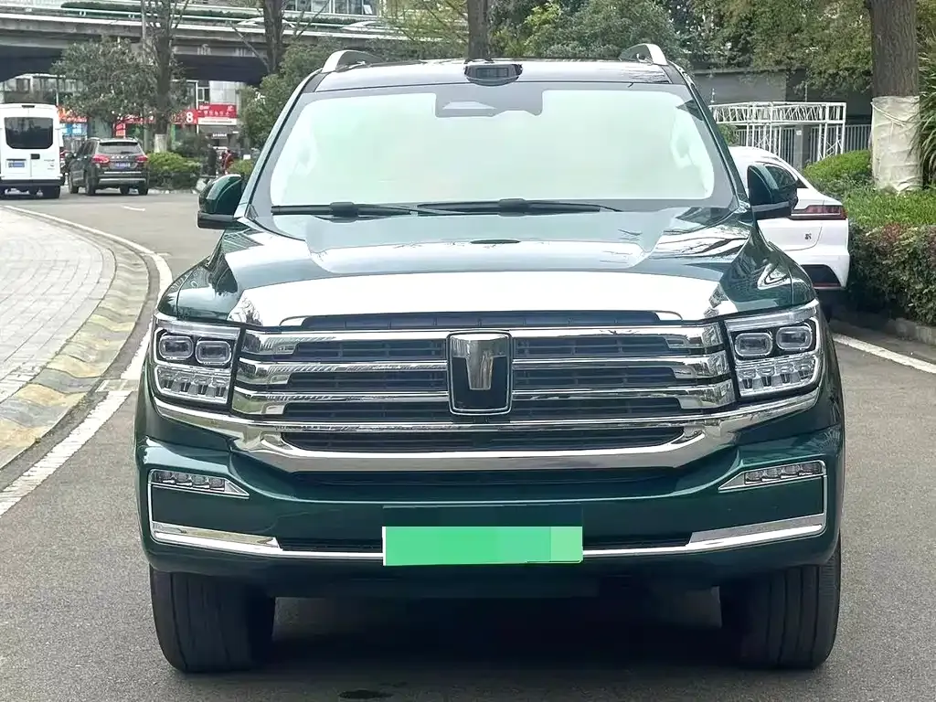 Tank 500 New Energy 2025 из CN, фото 8