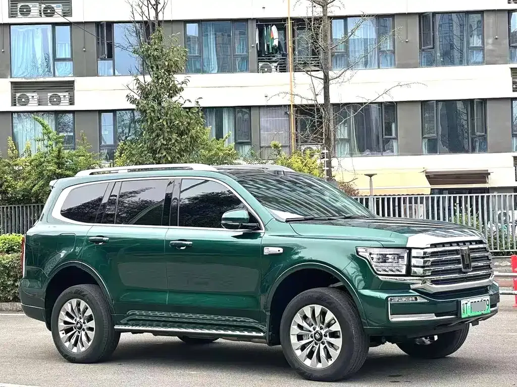 Tank 500 New Energy 2025 из CN, фото 6