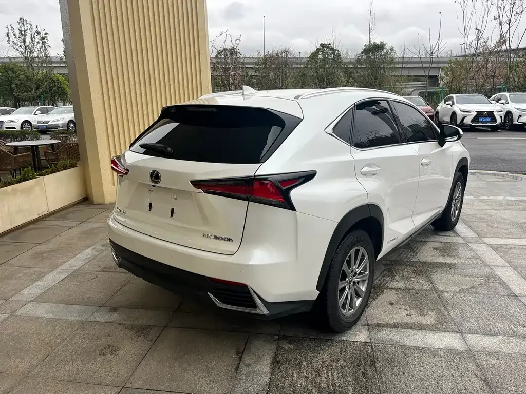 Lexus NX — фото 6