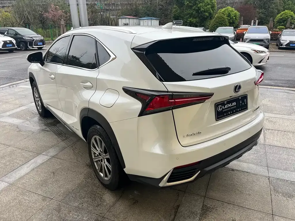 Lexus NX — фото 10
