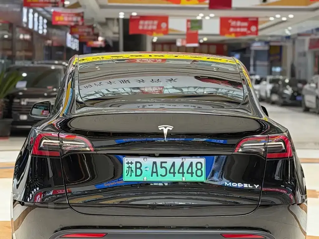 Tesla Model Y 2024 из CN, фото 8
