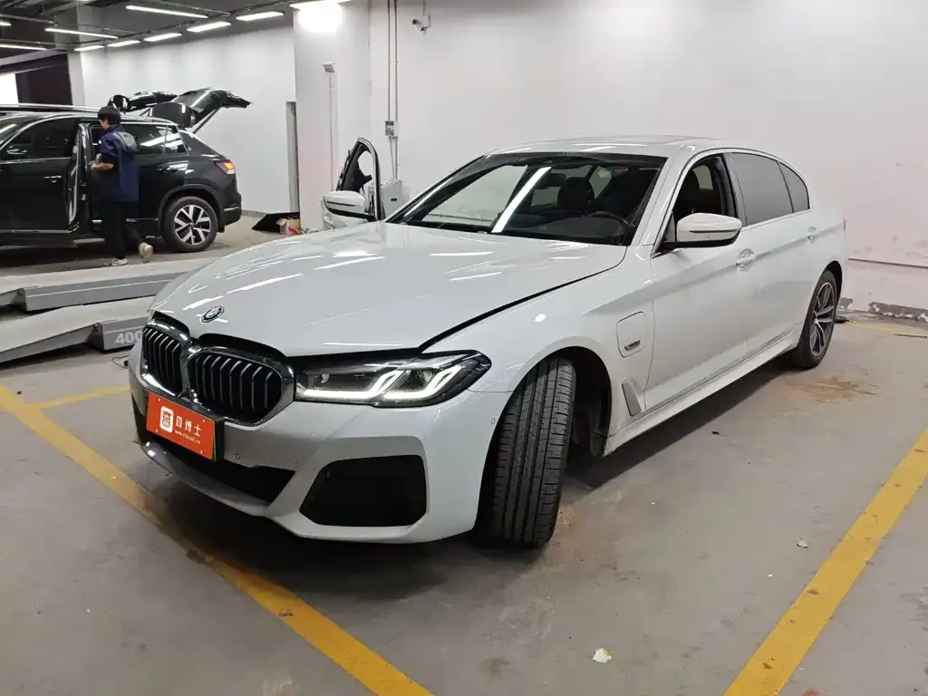 BMW 5 Series New Energy