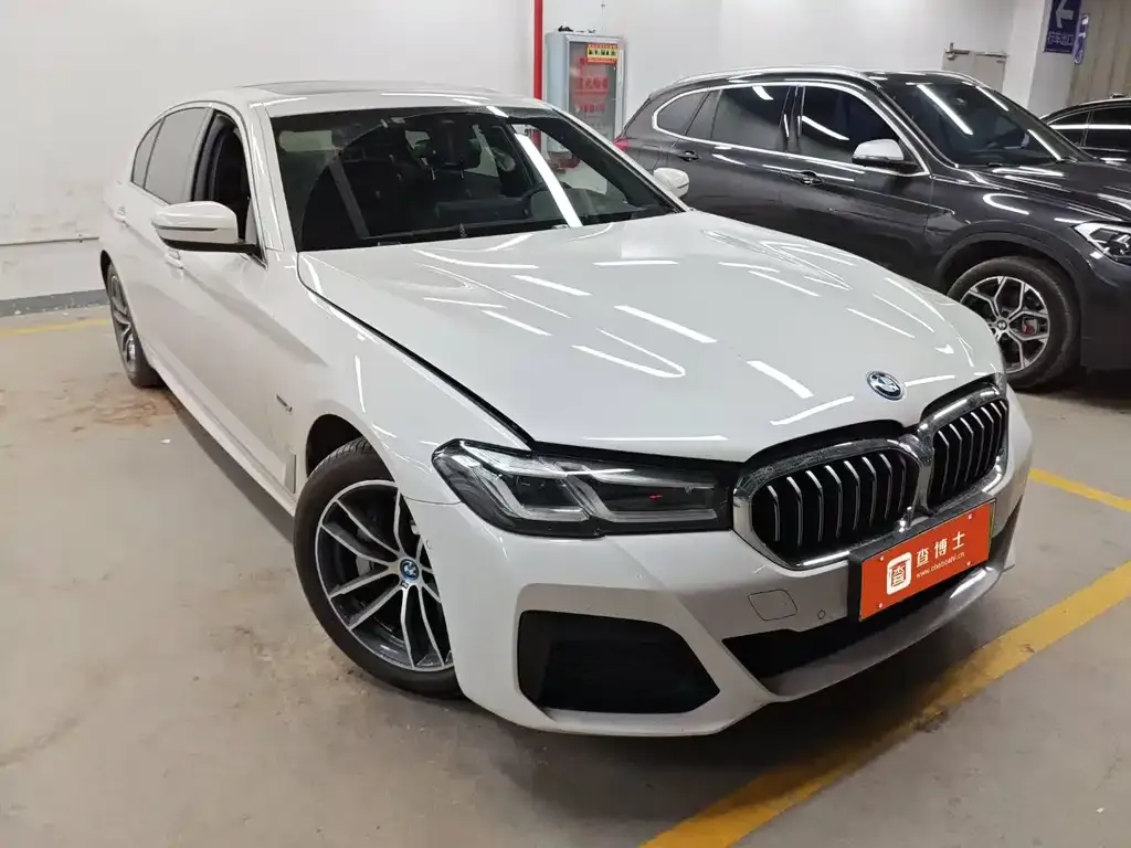 BMW 5 Series New Energy 2022 из CN, фото 7