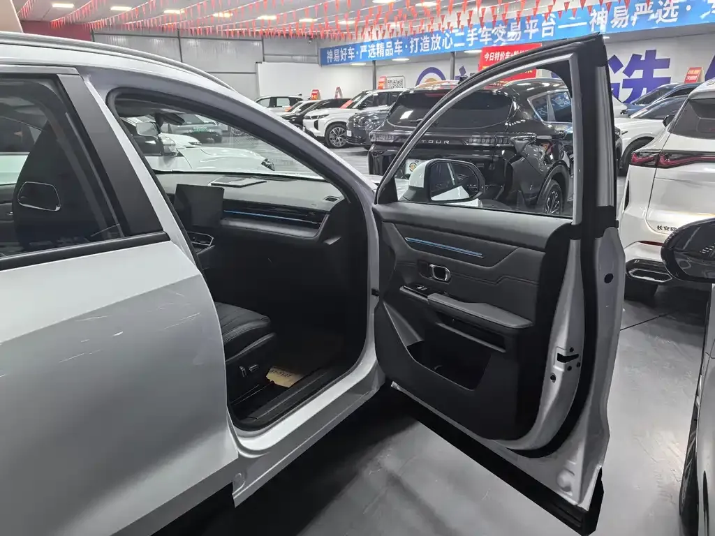 Jetour Dasheng 2025 из CN, фото 6