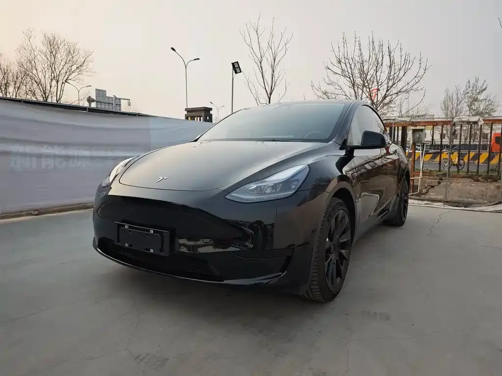 Tesla Model Y — фото 1