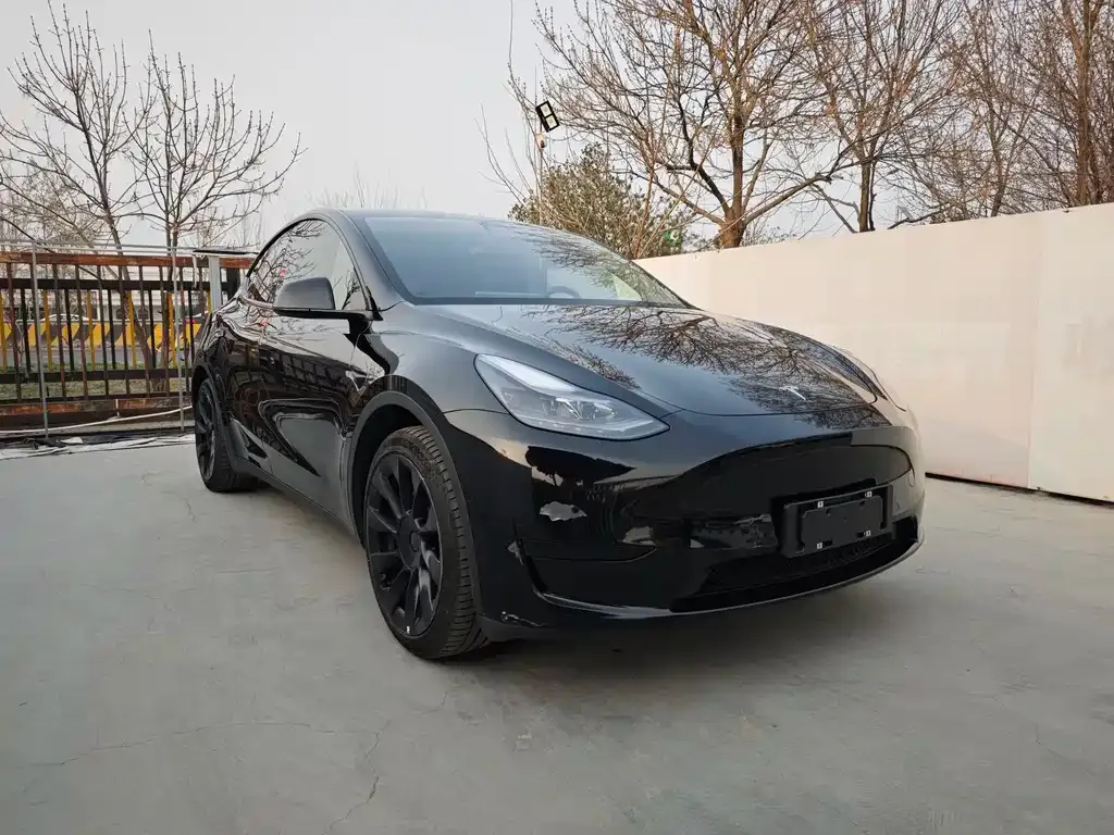 Tesla Model Y — фото 6