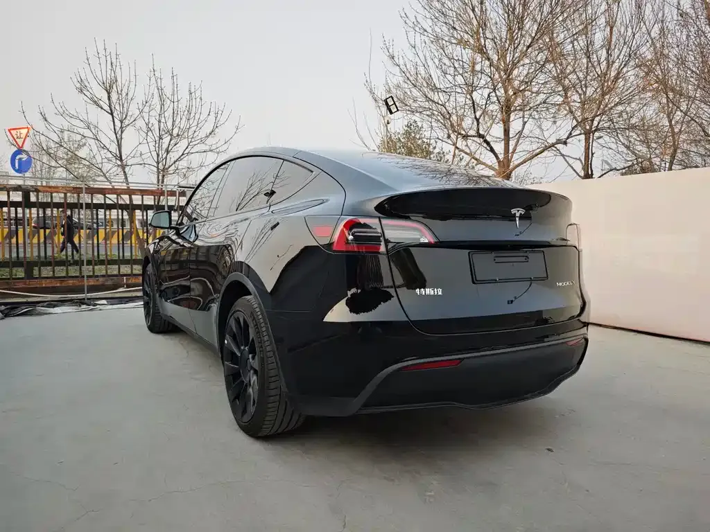 Tesla Model Y — фото 8