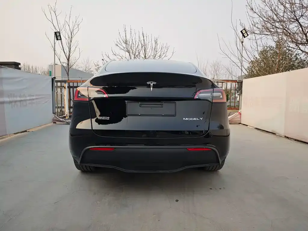 Tesla Model Y — фото 3
