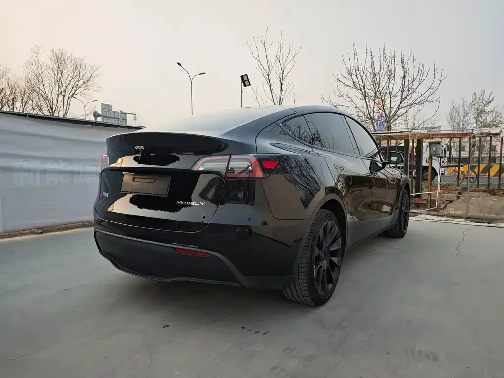 Tesla Model Y — фото 5