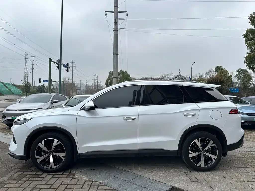BYD Pro New Energy — фото 9