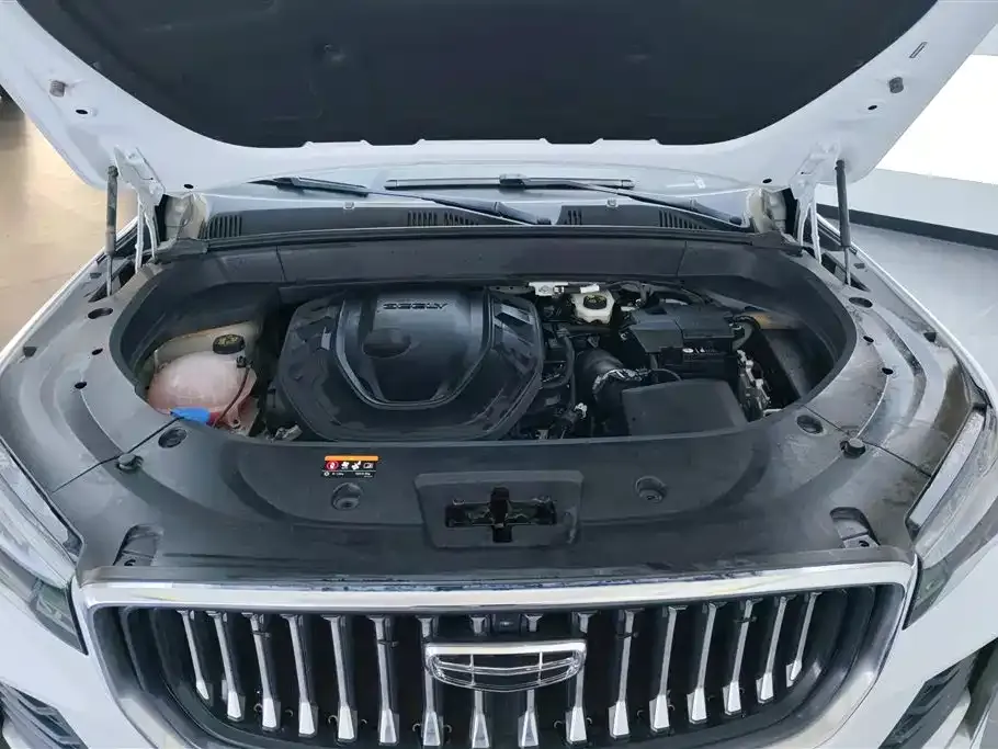 Geely Xingyue L 2023 из CN, фото 10
