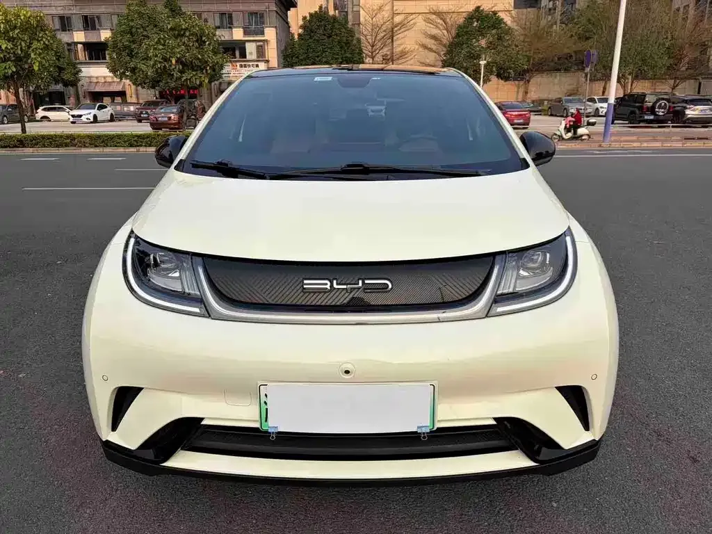 BYD Dolphin 2024 из CN, фото 6