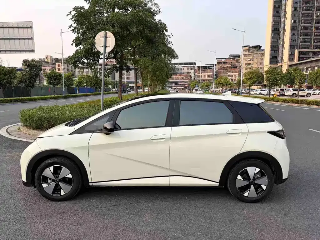 BYD Dolphin 2024 из CN, фото 3