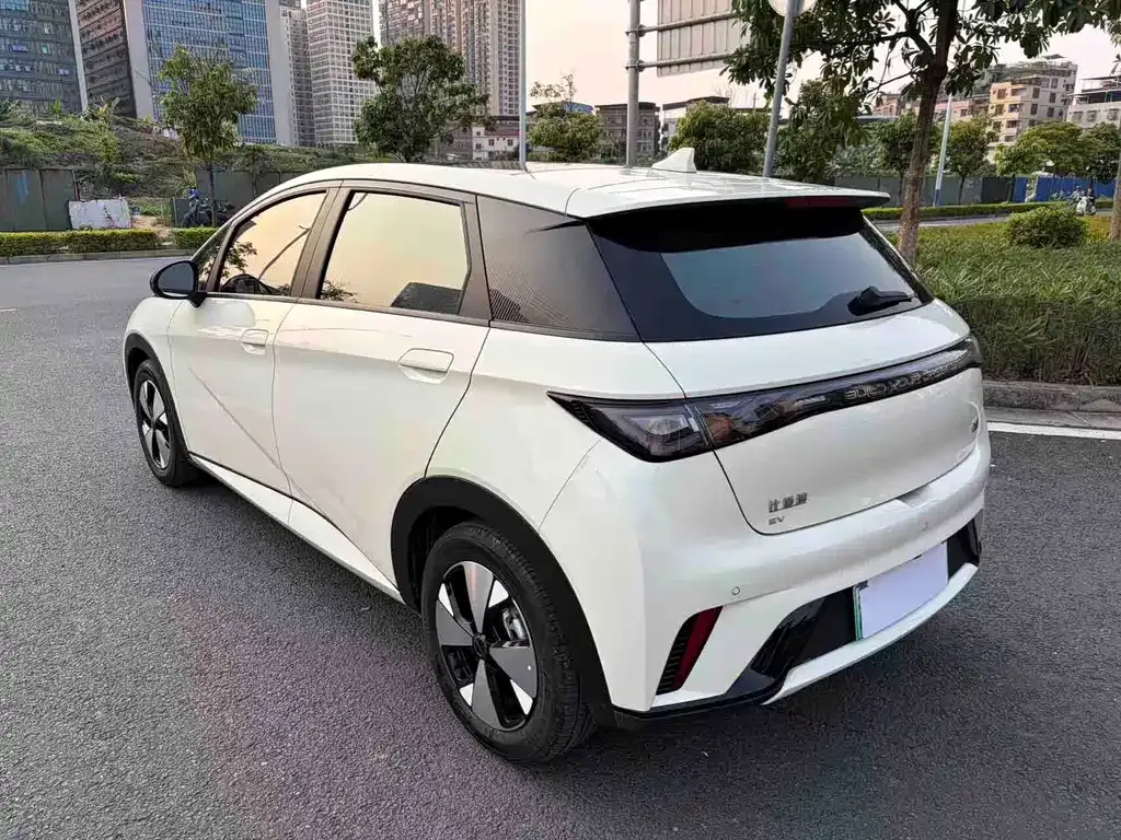 BYD Dolphin 2024 из CN, фото 9