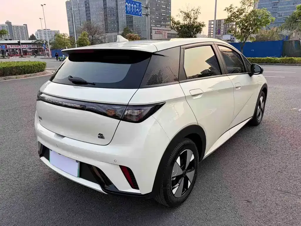 BYD Dolphin 2024 из CN, фото 10