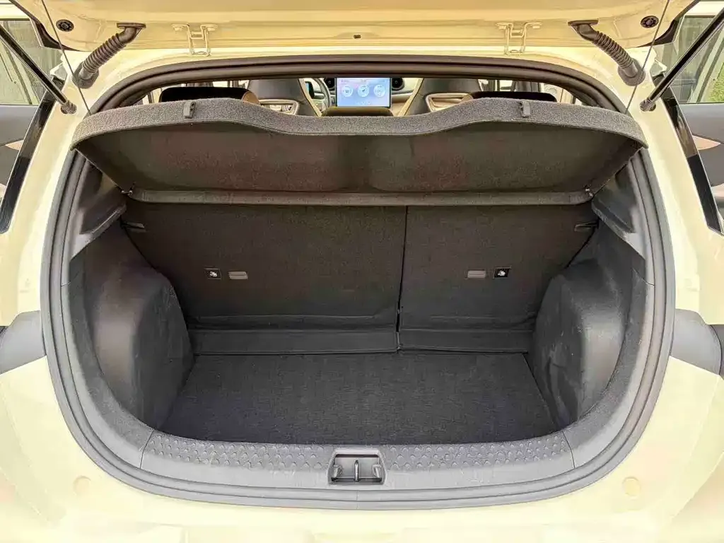 BYD Dolphin 2024 из CN, фото 2