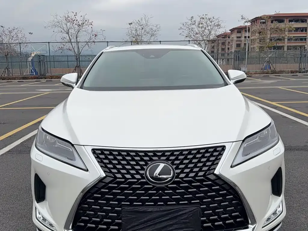 Lexus RX — фото 8