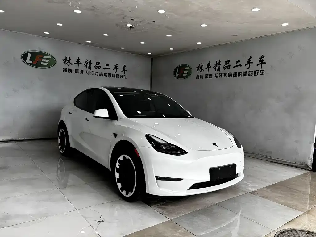 Tesla Model Y — фото 3