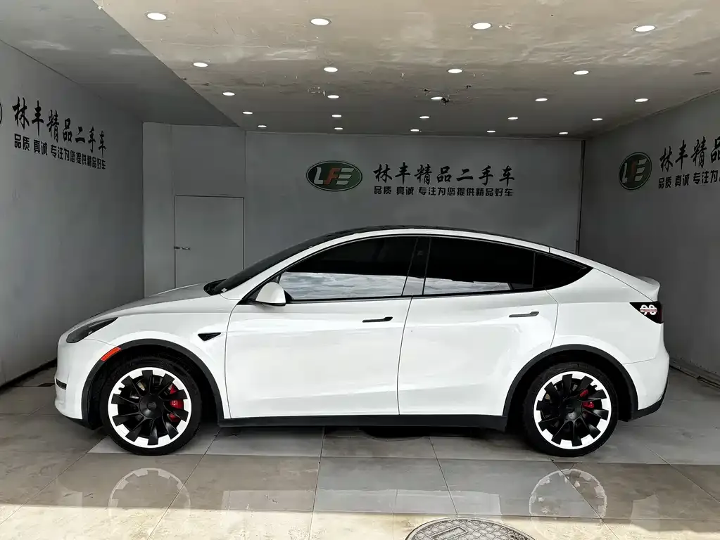 Tesla Model Y — фото 5