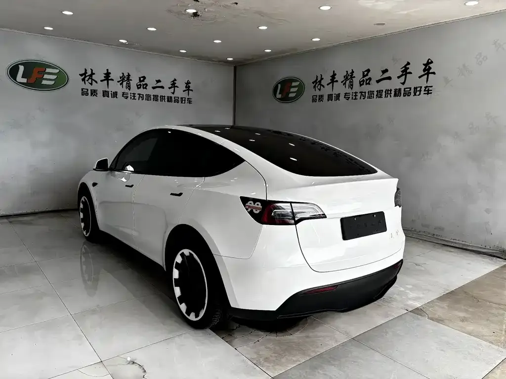 Tesla Model Y — фото 10