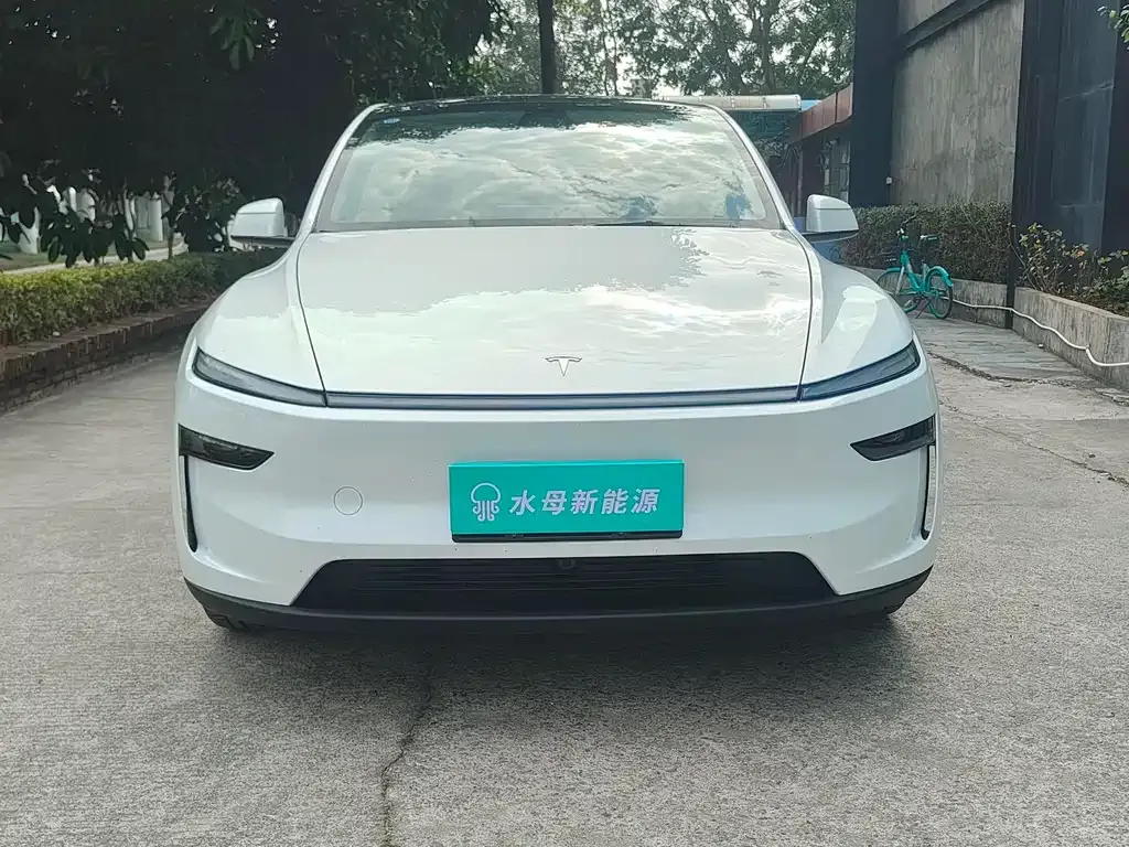 Tesla Model Y — фото 3