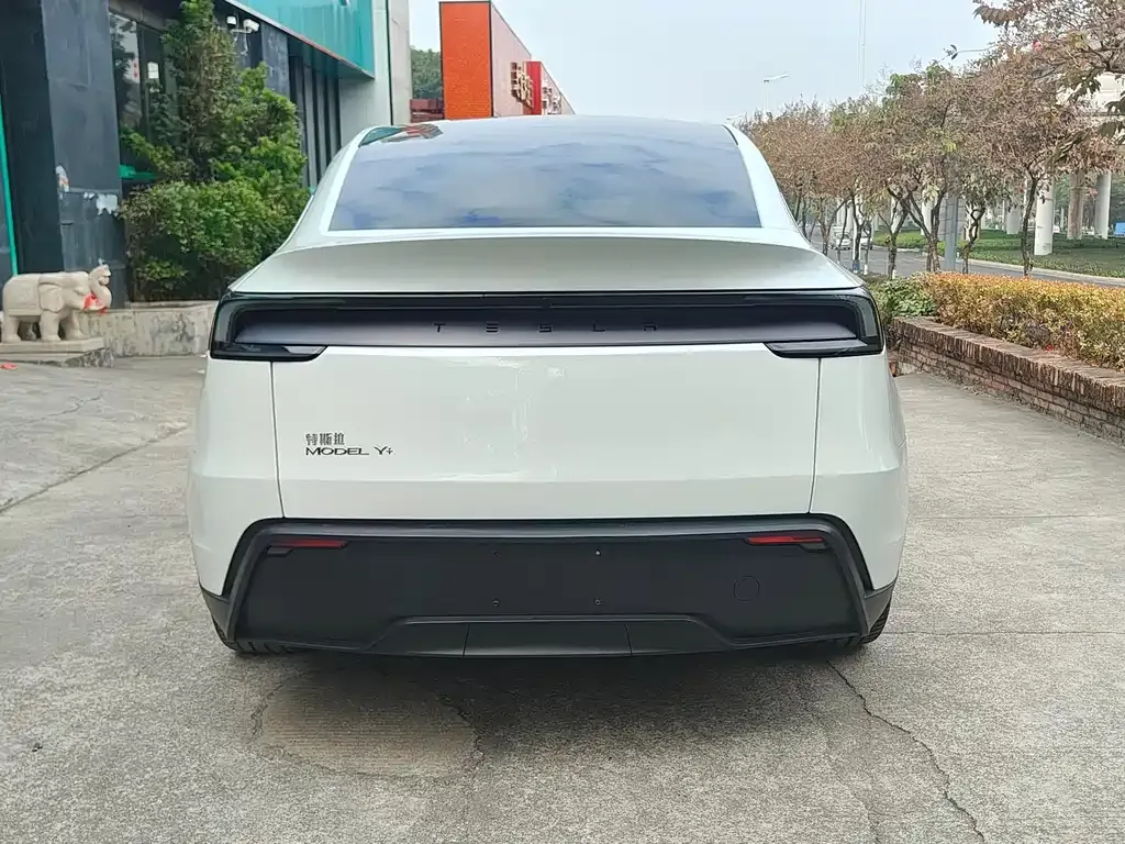 Tesla Model Y — фото 9