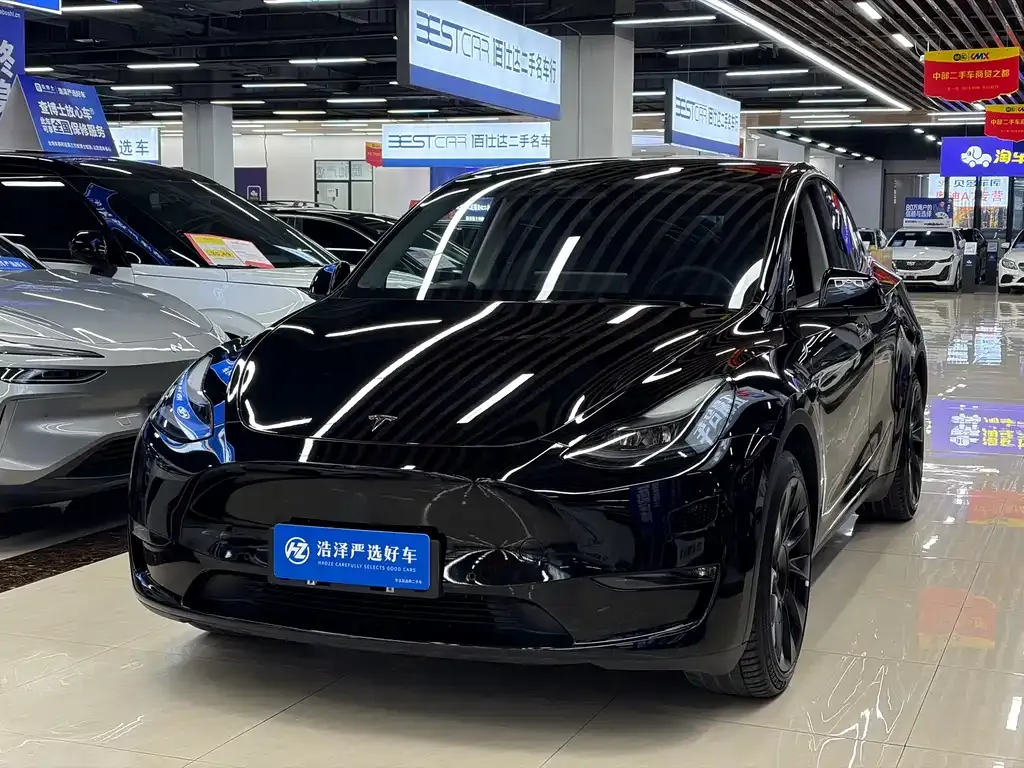 Tesla Model Y 2021 из CN, фото 1
