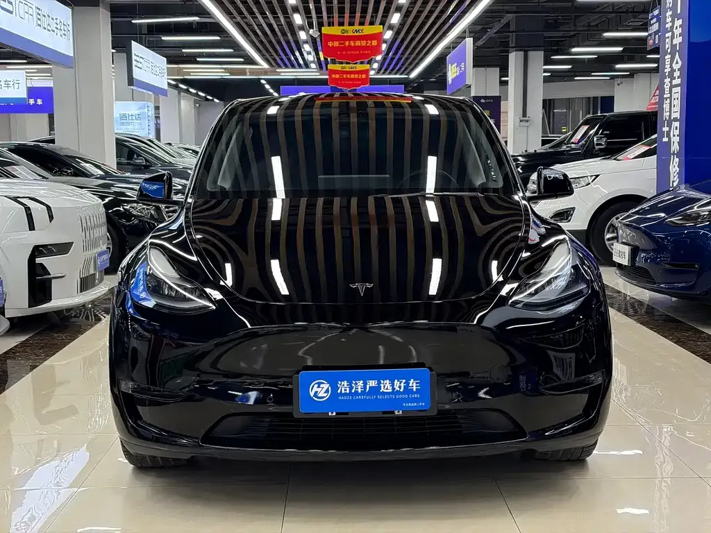 Tesla Model Y 2021 из CN, фото 2