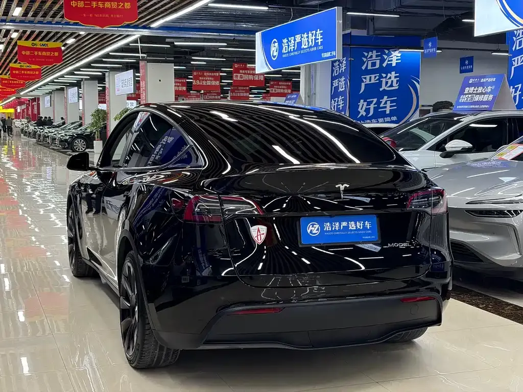 Tesla Model Y 2021 из CN, фото 4