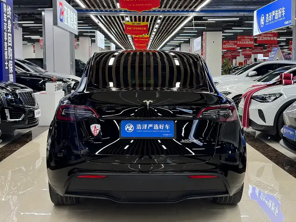 Tesla Model Y 2021 из CN, фото 6