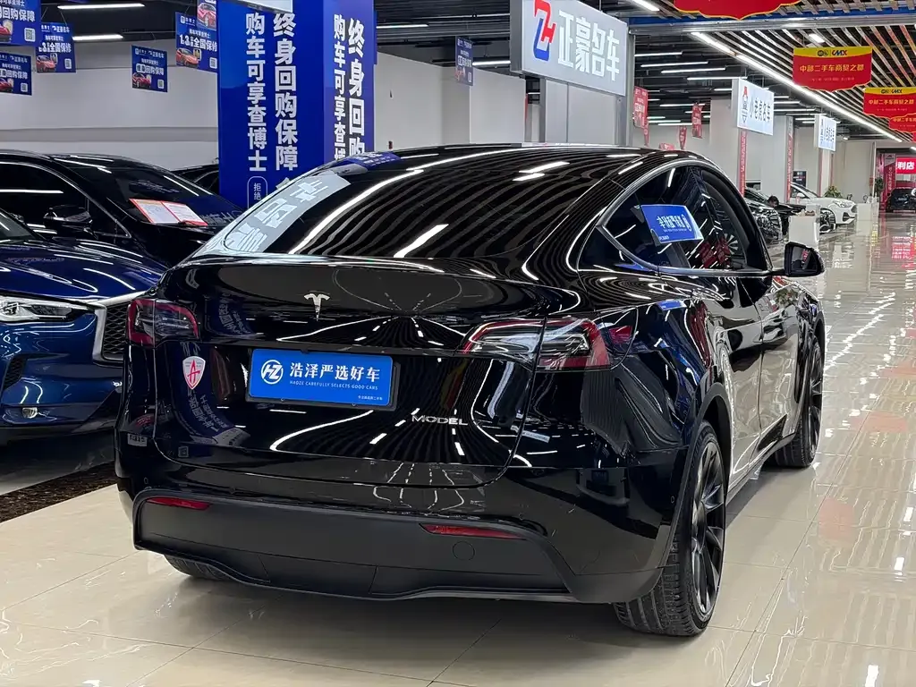 Tesla Model Y 2021 из CN, фото 5
