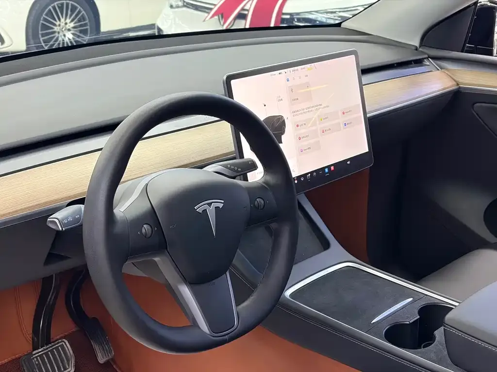 Tesla Model Y 2021 из CN, фото 7
