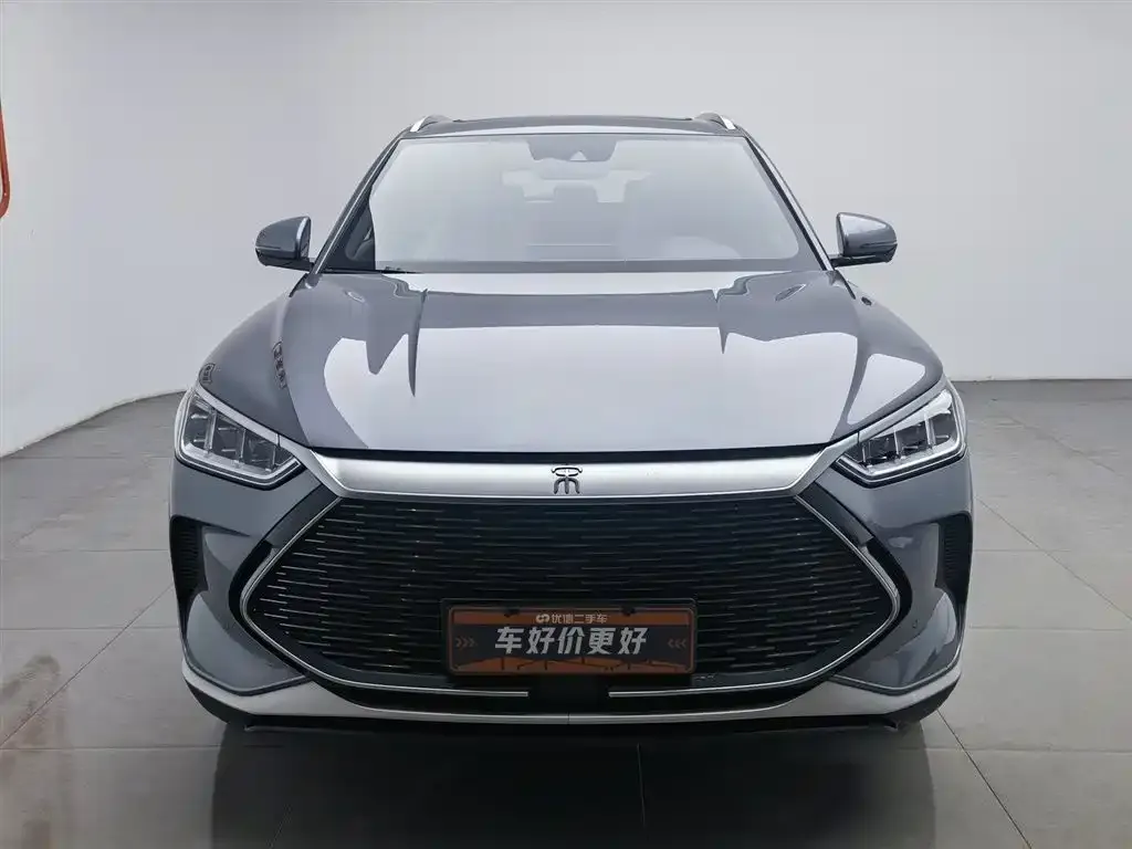 BYD PLUS New Energy — фото 6