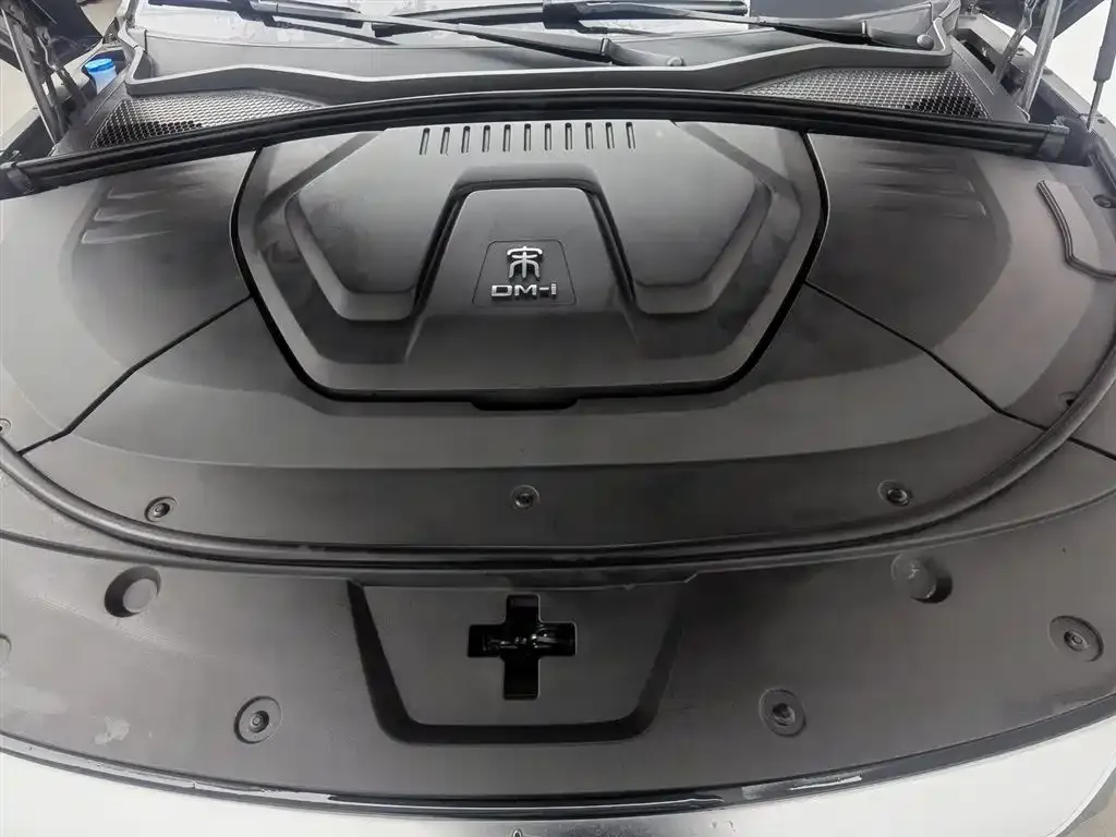 BYD PLUS New Energy — фото 4