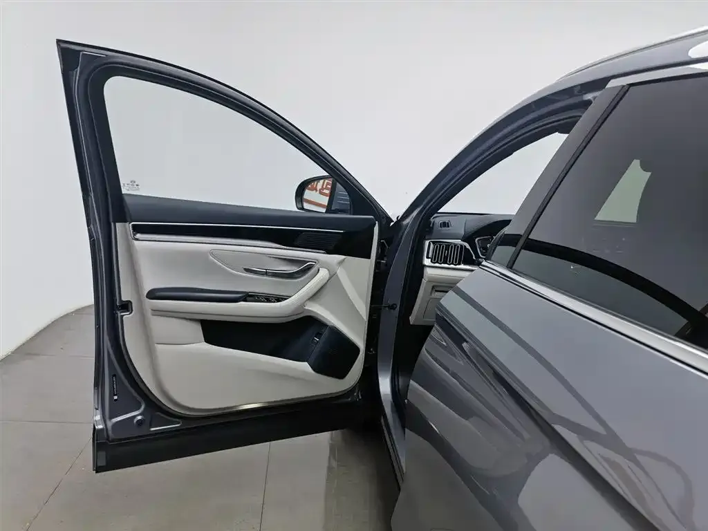 BYD PLUS New Energy — фото 10