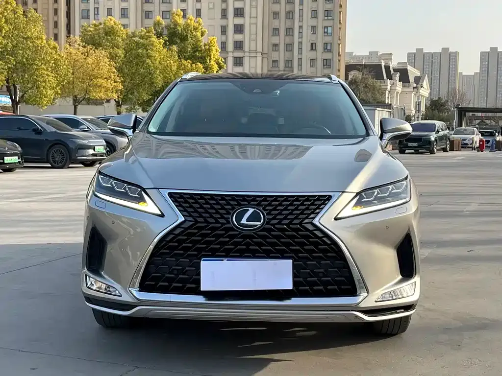 Lexus RX 2021 из CN, фото 1