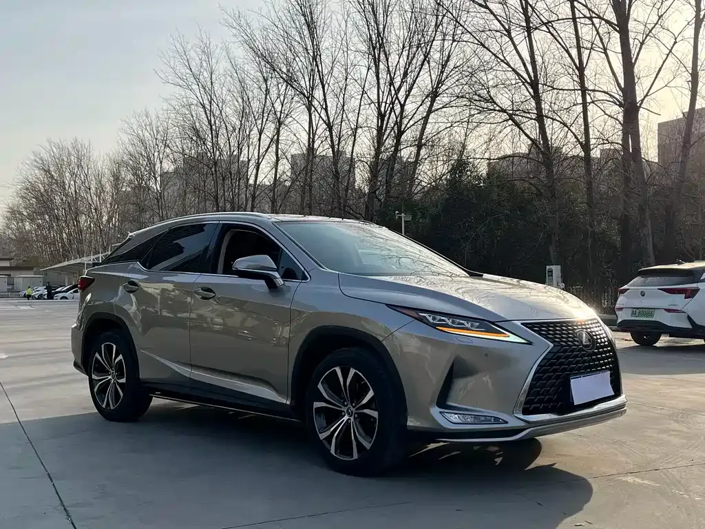 Lexus RX 2021 из CN, фото 9