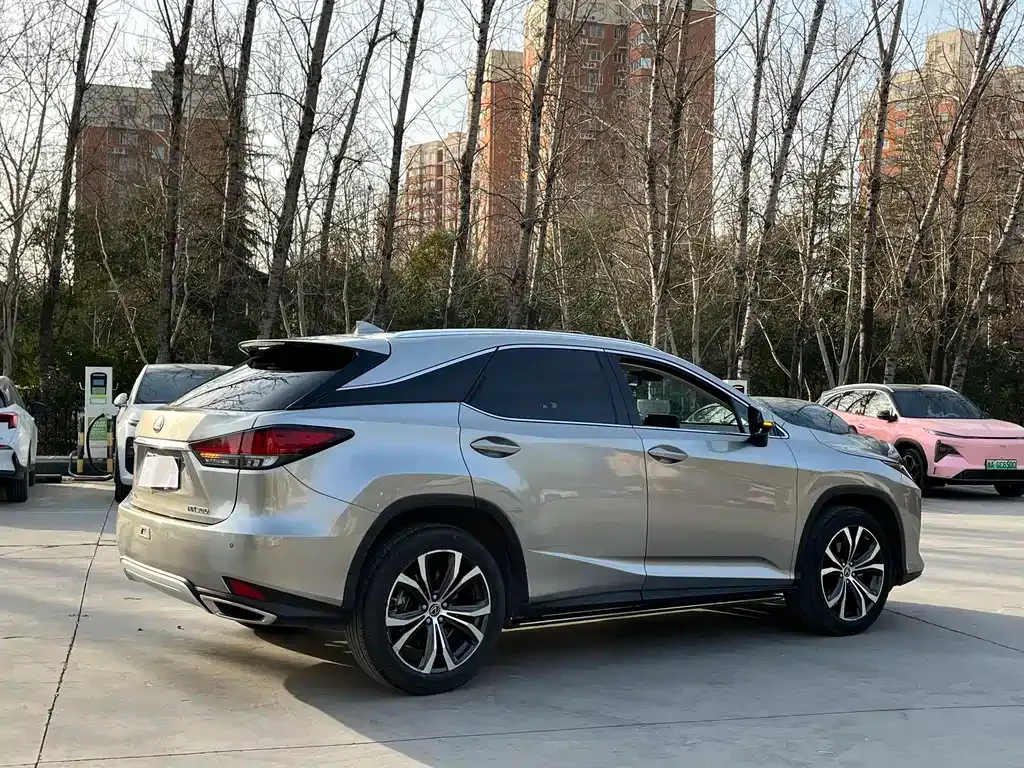 Lexus RX 2021 из CN, фото 10