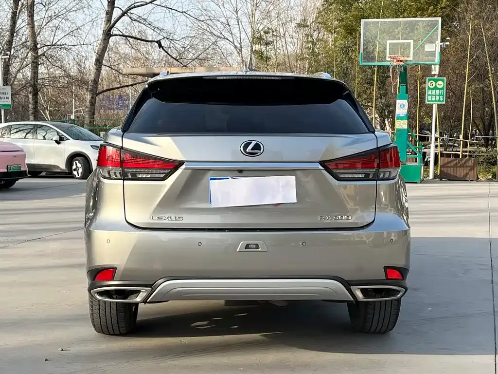Lexus RX 2021 из CN, фото 6