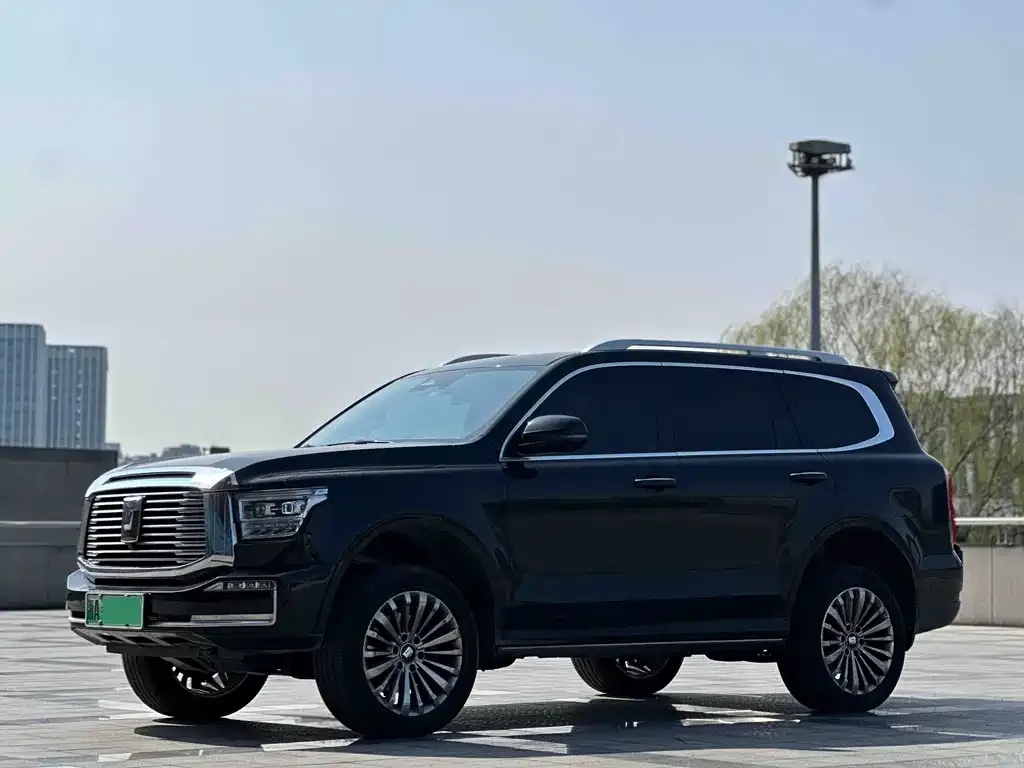 Tank 500 New Energy 2024 из CN, фото 1