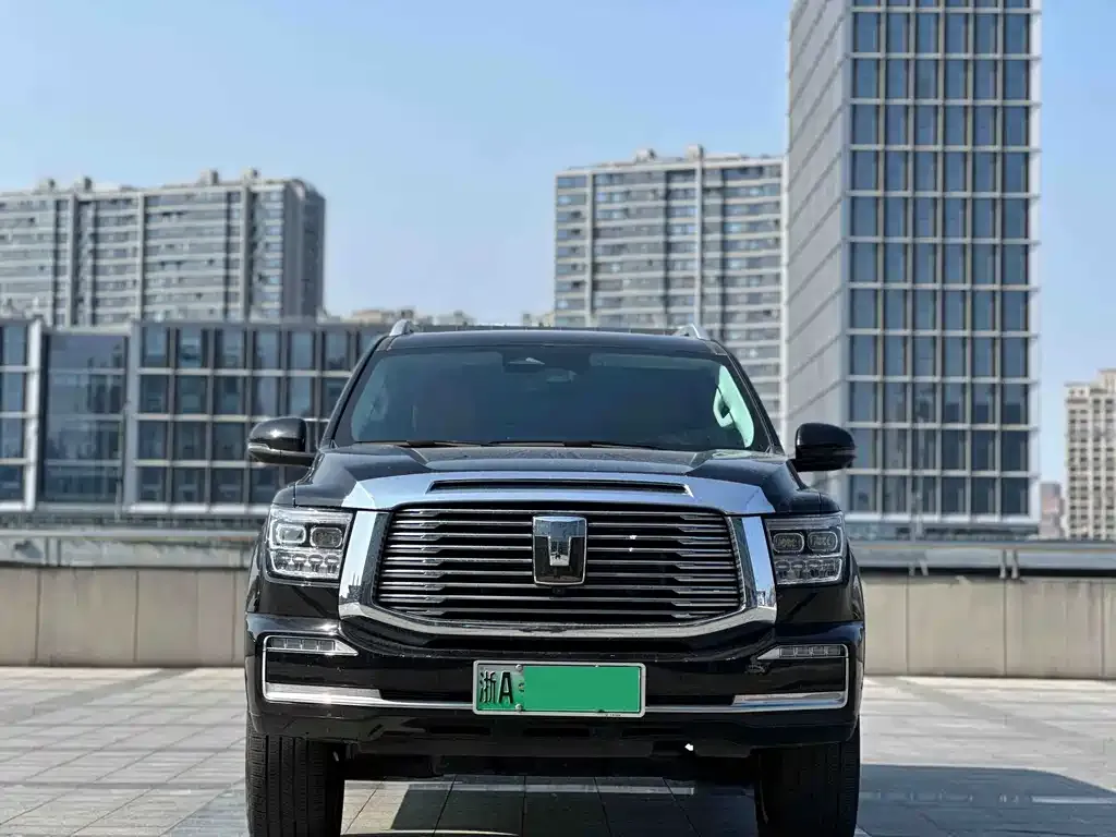 Tank 500 New Energy 2024 из CN, фото 6