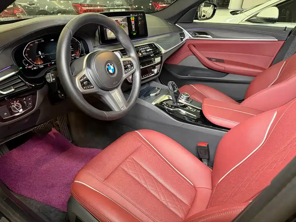 BMW 5 Series 2022 из CN, фото 8