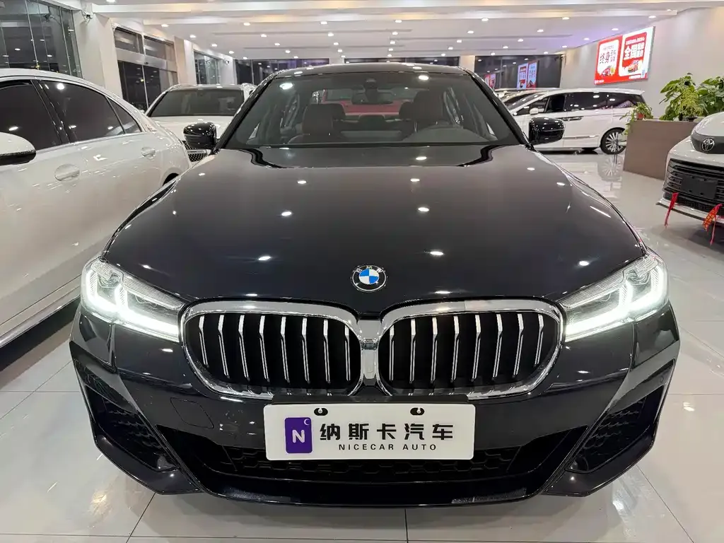 BMW 5 Series 2022 из CN, фото 5