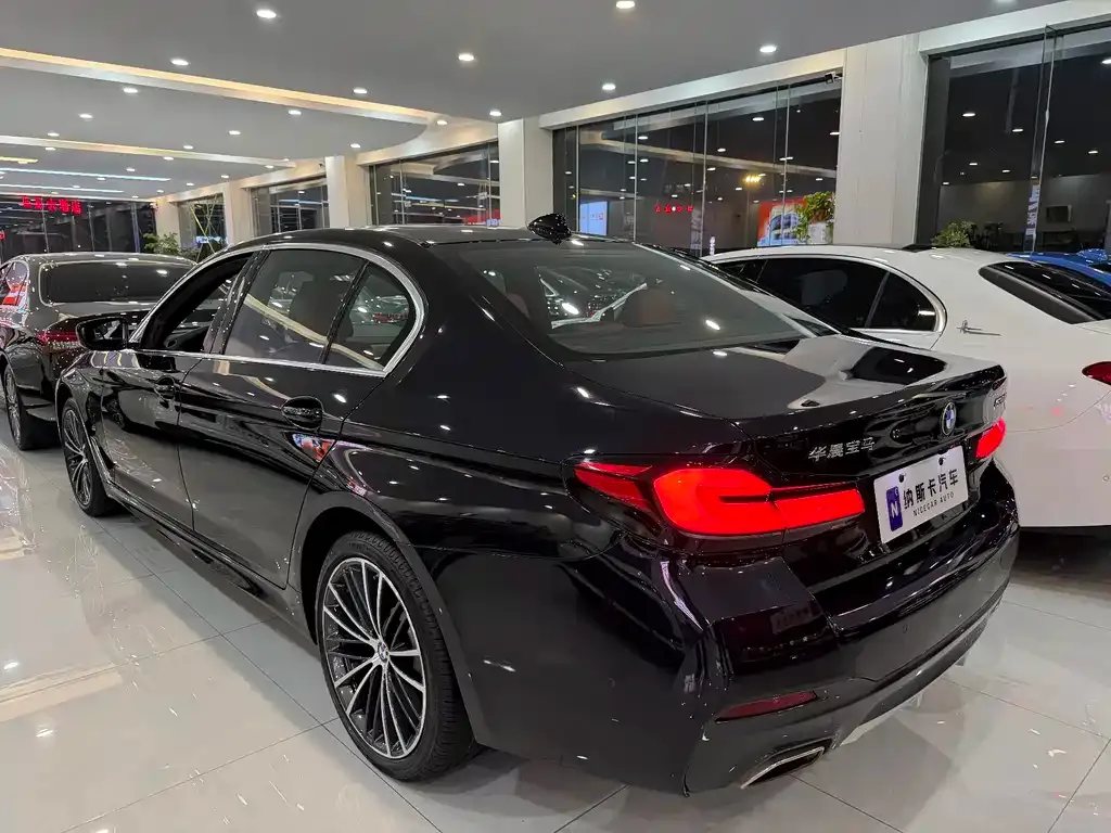 BMW 5 Series 2022 из CN, фото 10