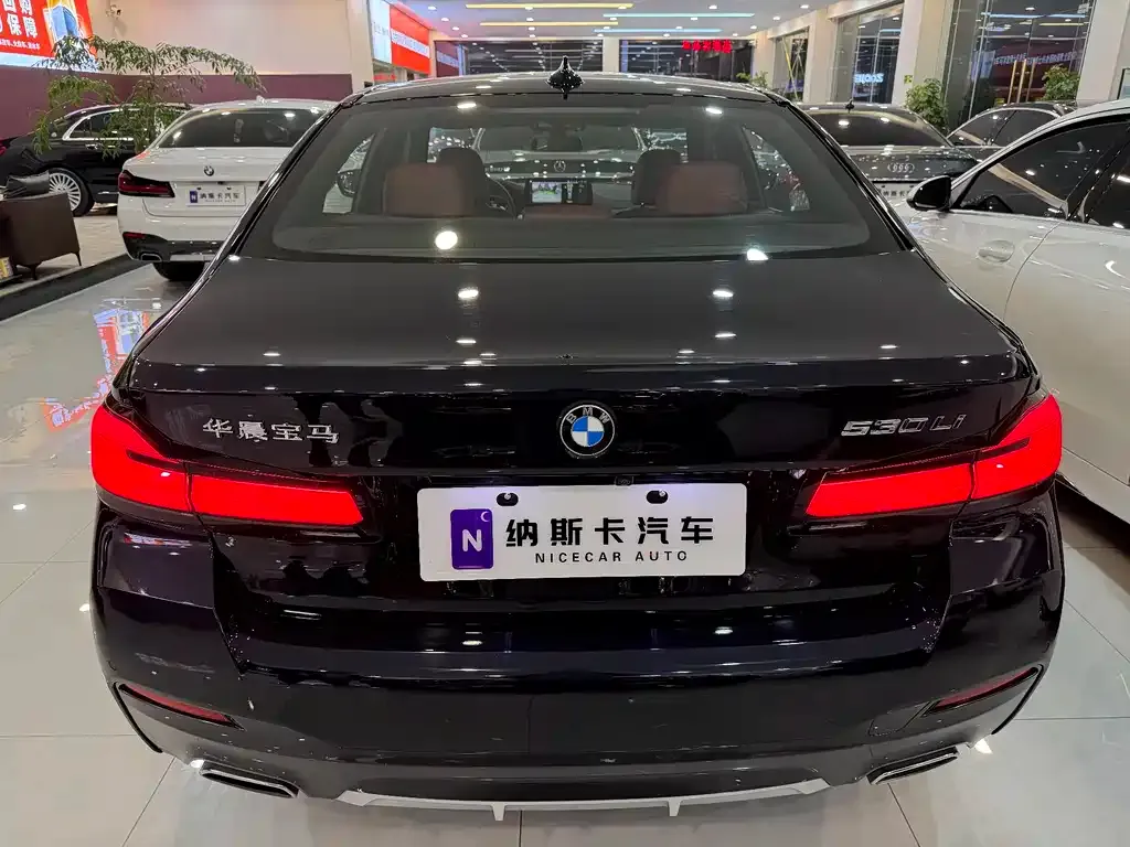 BMW 5 Series 2022 из CN, фото 6