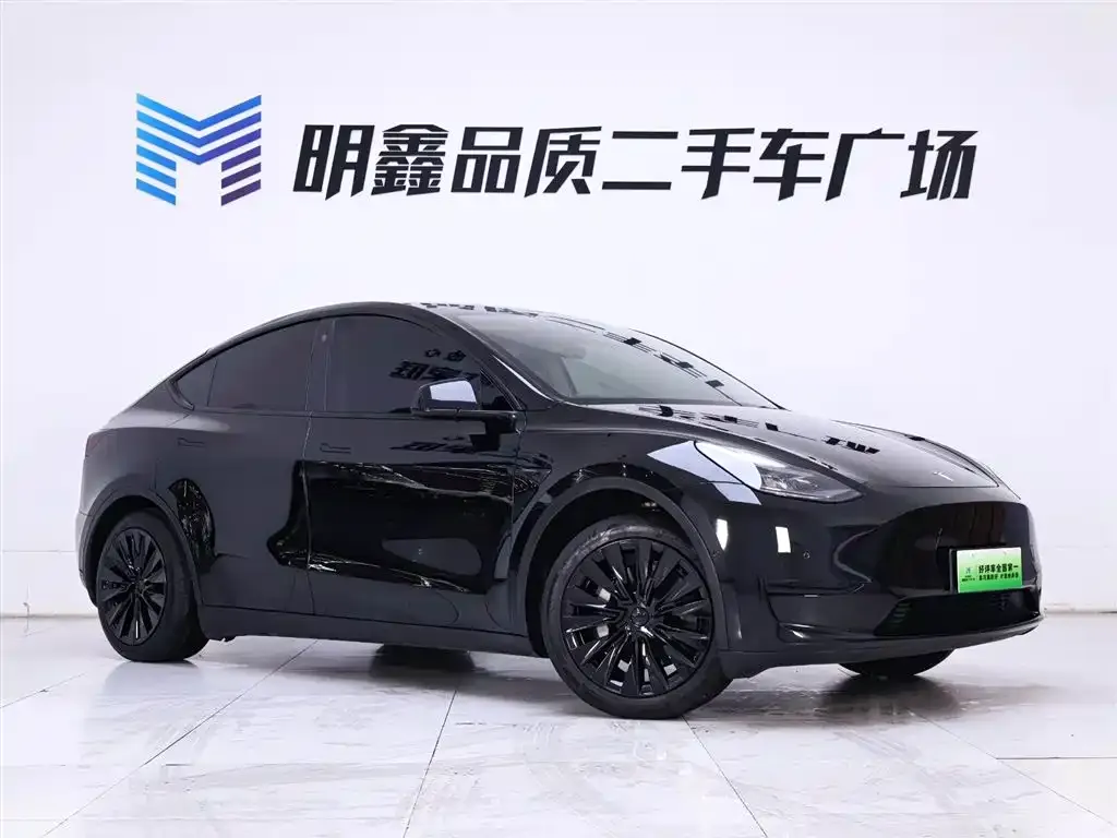 Tesla Model Y — фото 8
