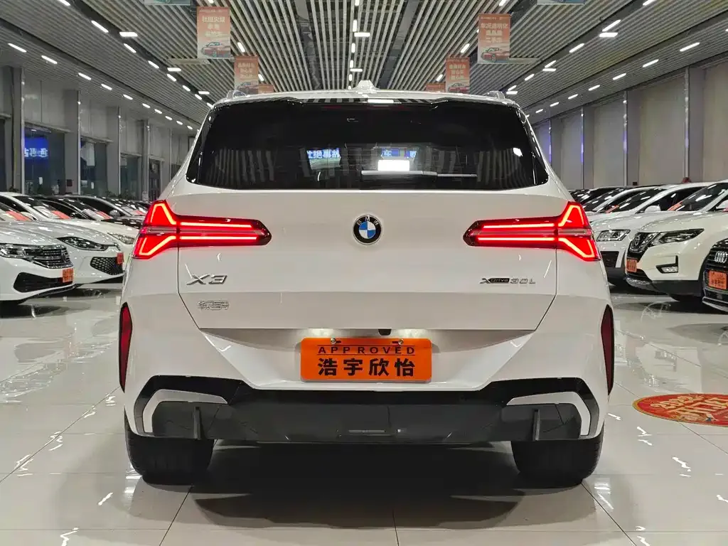 BMW X3 — фото 10