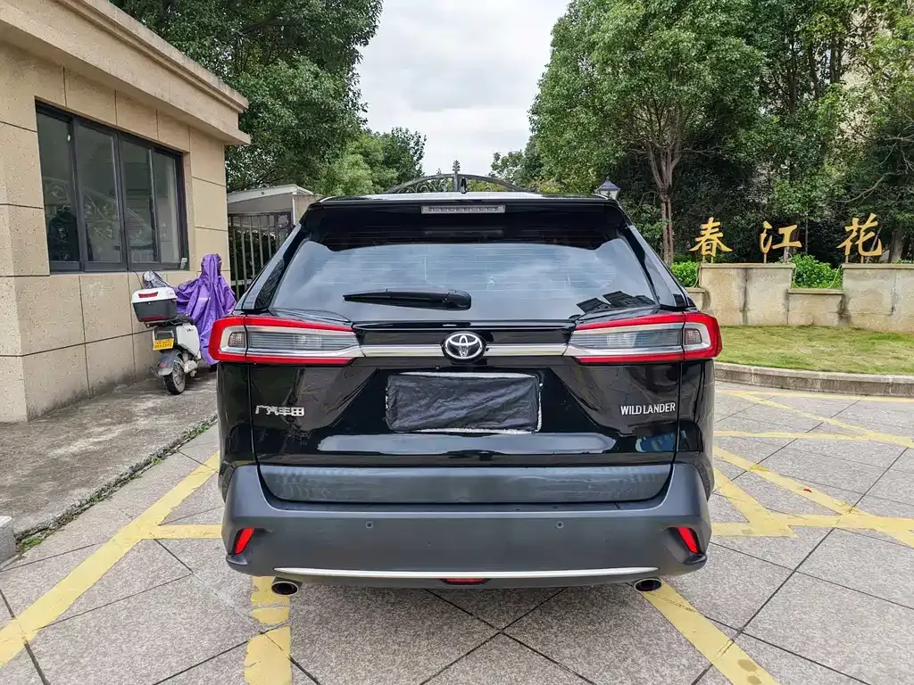 Toyota Wildlander 2021 из CN, фото 9