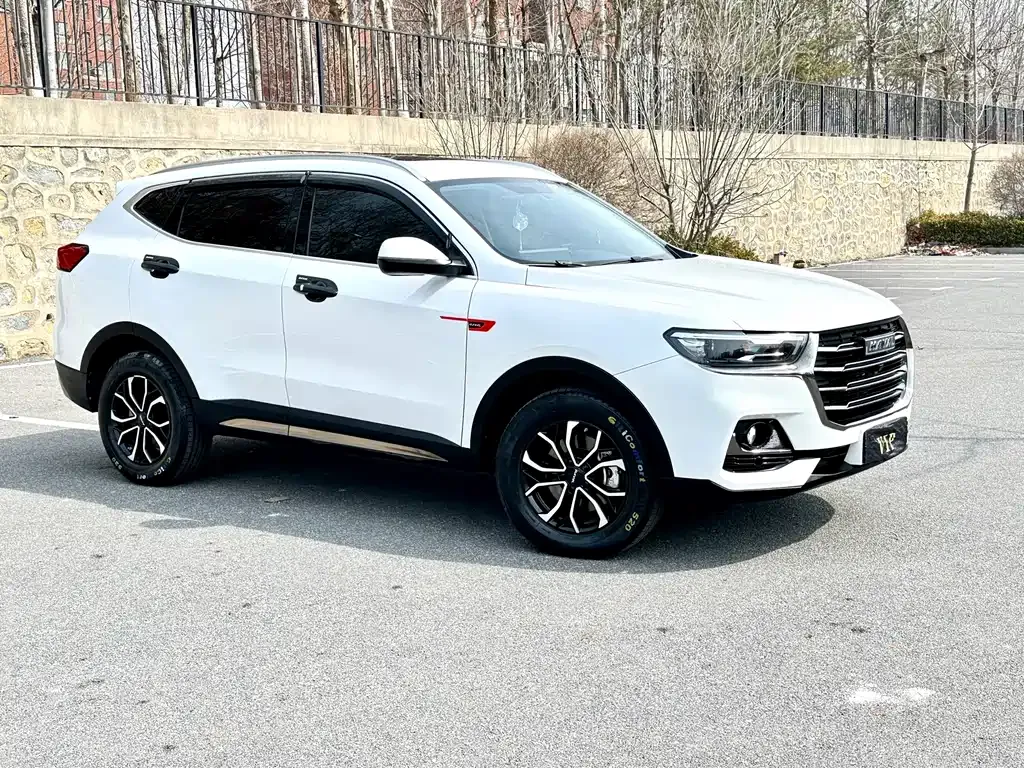 Haval H6 2021 из CN, фото 3