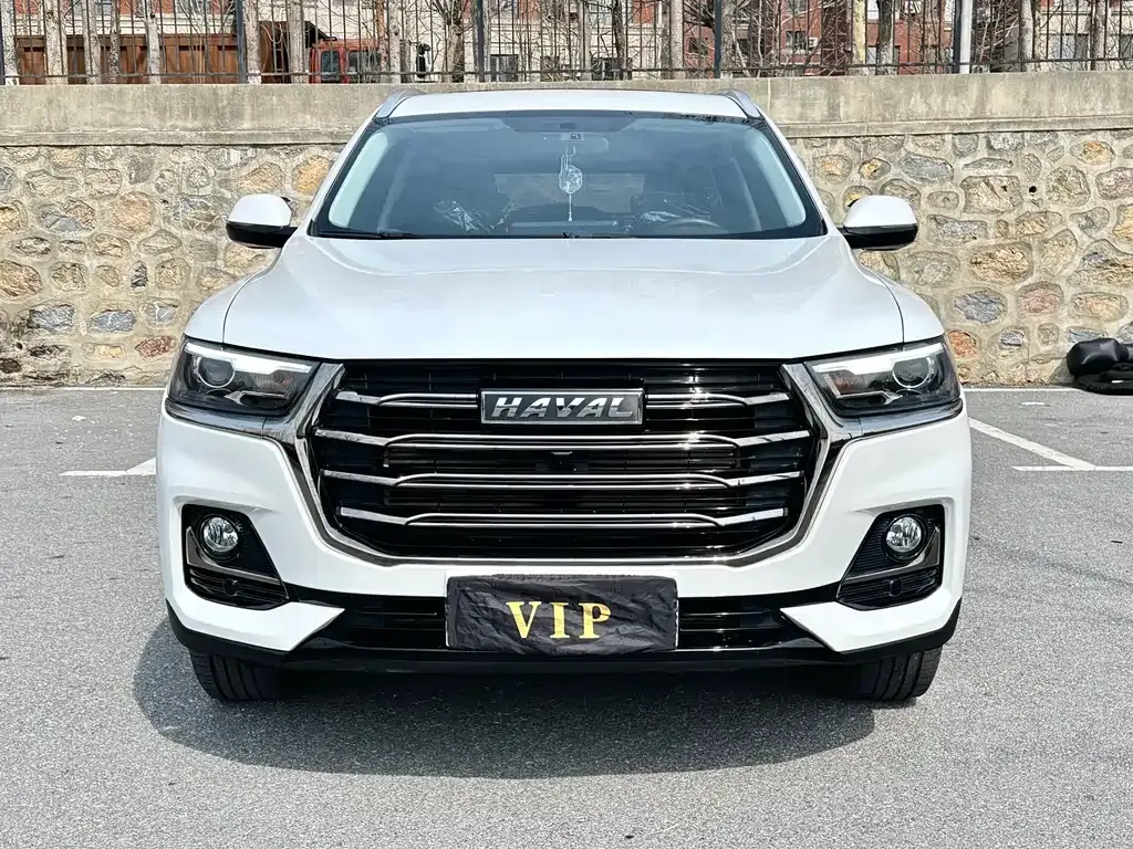 Haval H6 2021 из CN, фото 2
